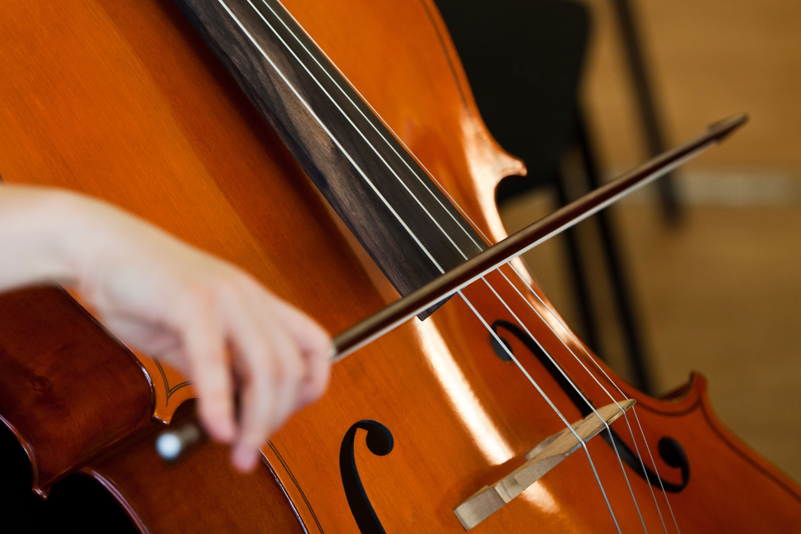 Fiddlestick on the strings of a cello closeup